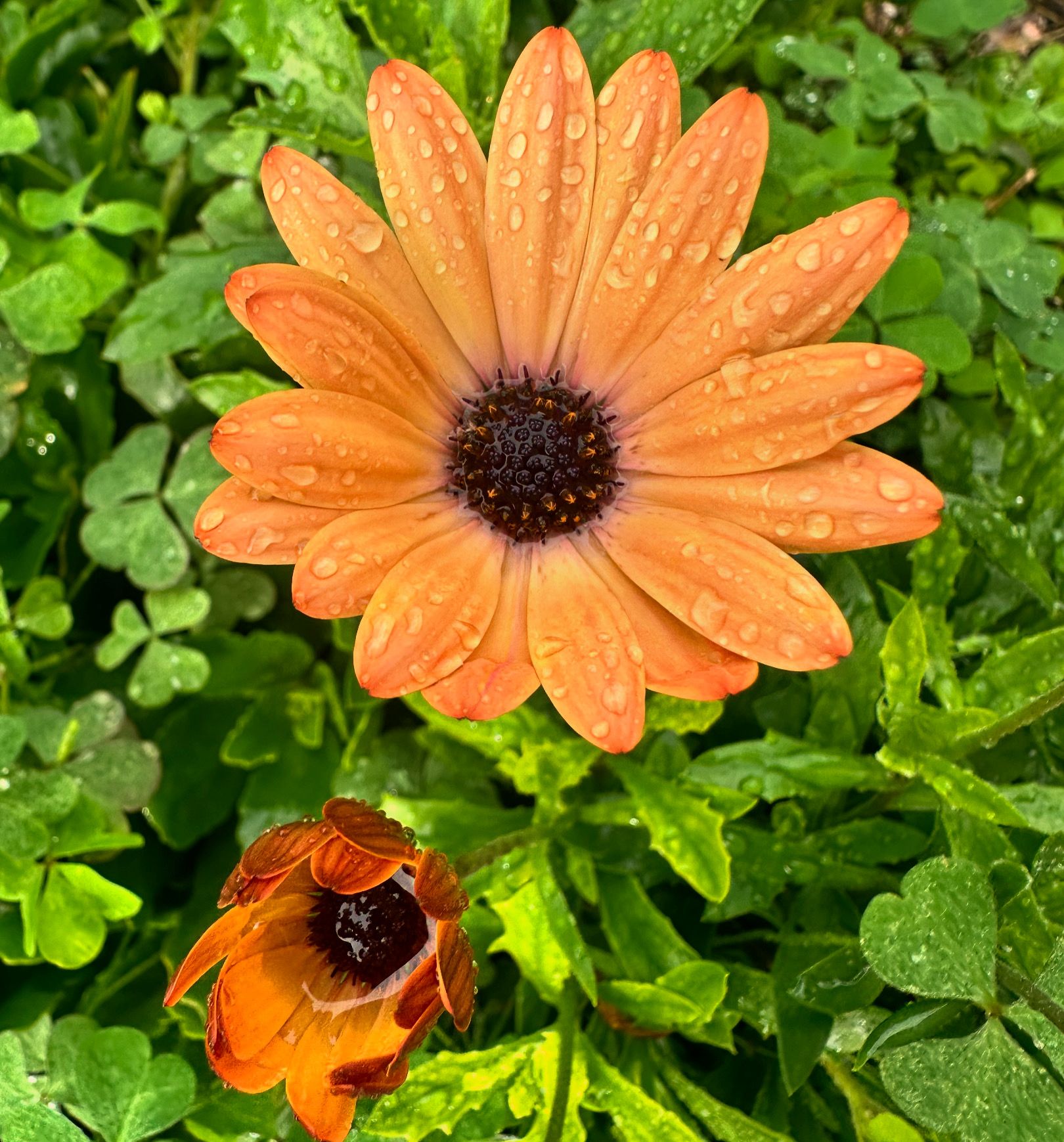 Fotografía Galería 2 30